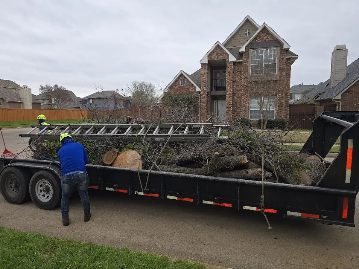 Expert Lot Clearing with proper safety equipment in Dieterich